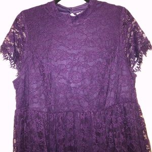 Lace Purple Plus Size Dress